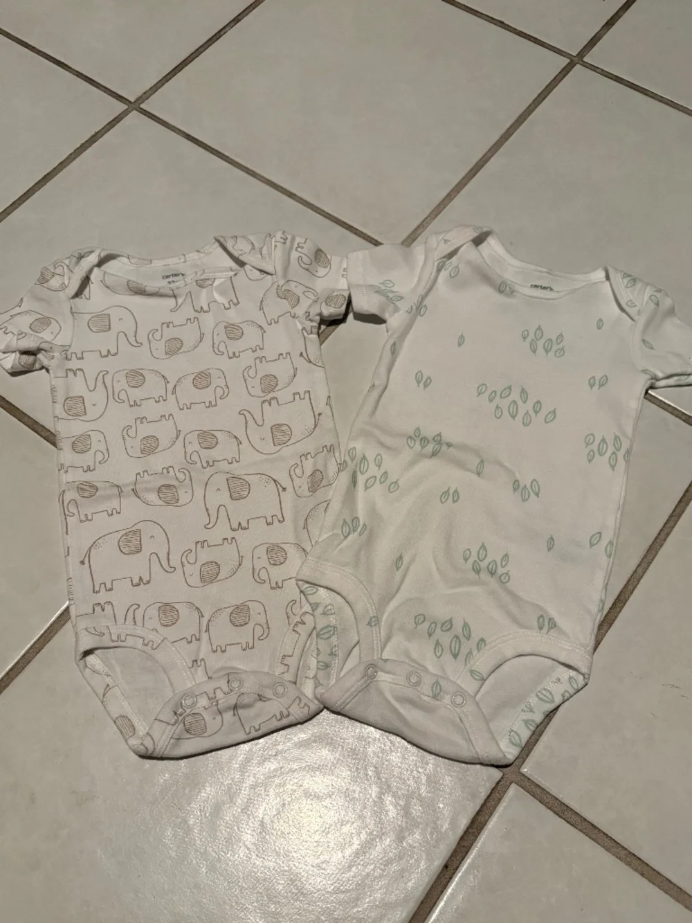 Pair of Carters Onesies